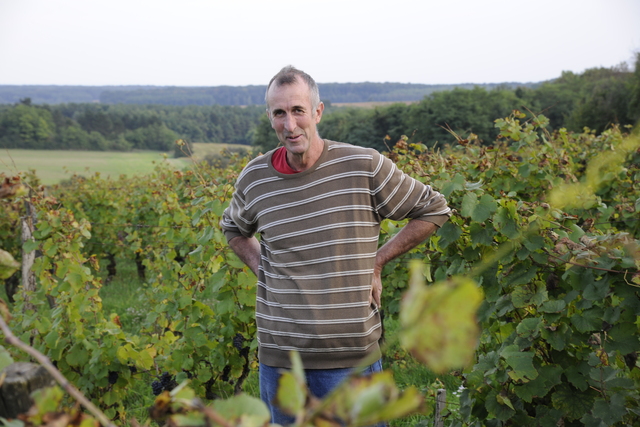 Pascal Henriot Website » The Winegrower